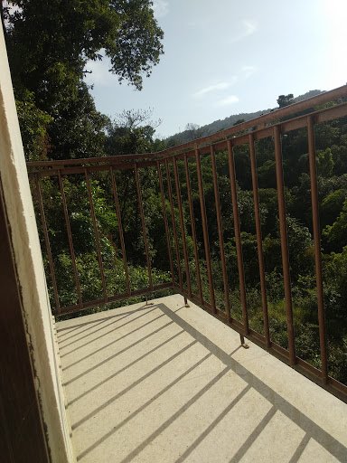 Gallery image 7
